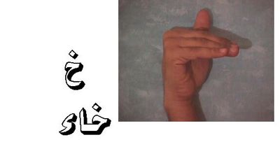 large_1173777839.jpg