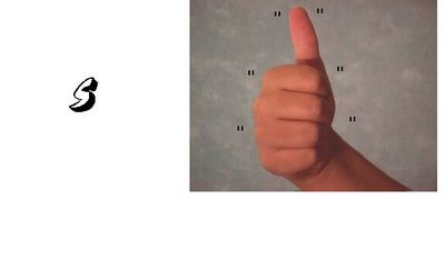 large_1173777864.jpg
