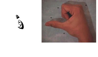 large_1173777865.jpg